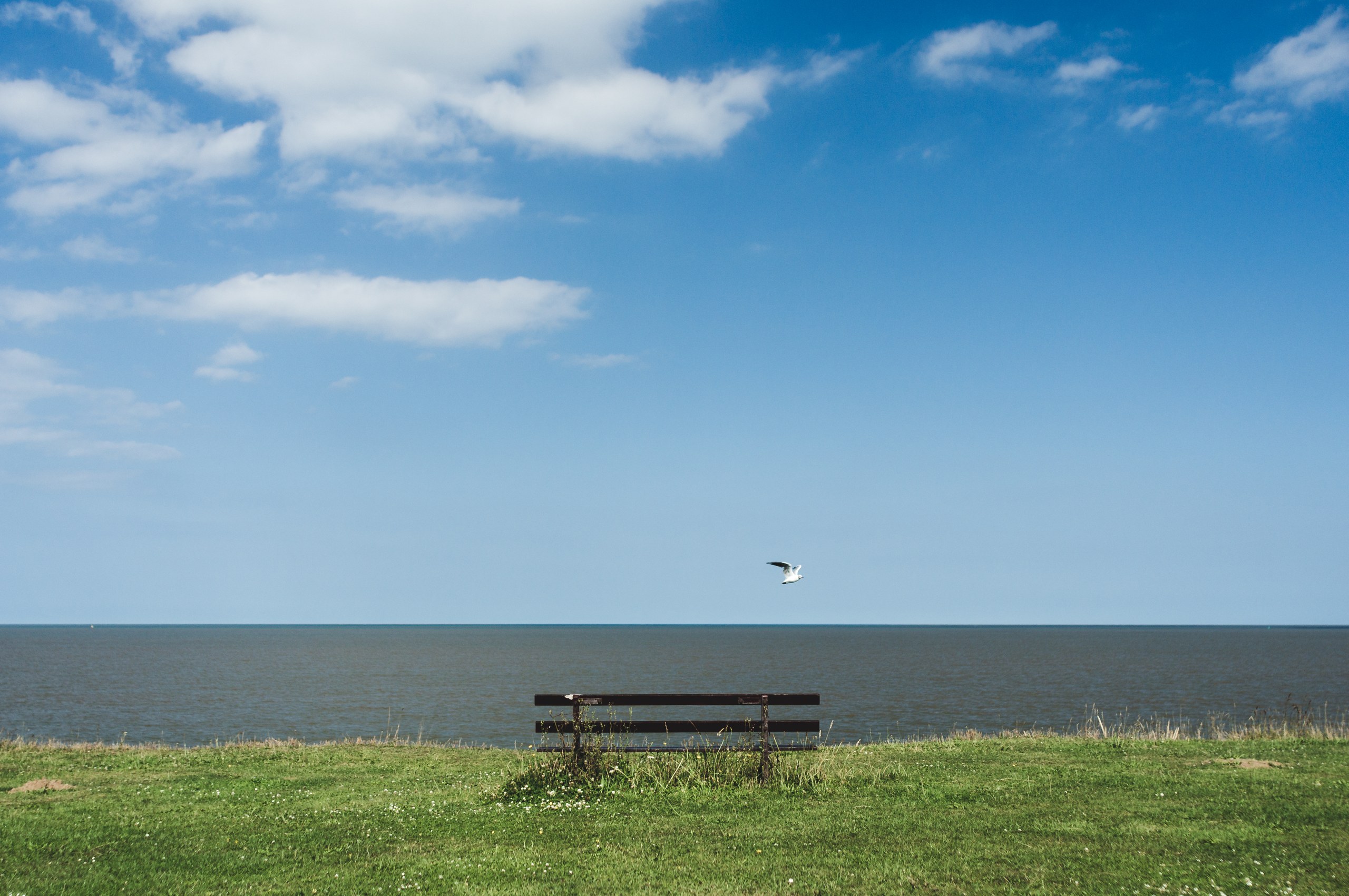 Bench